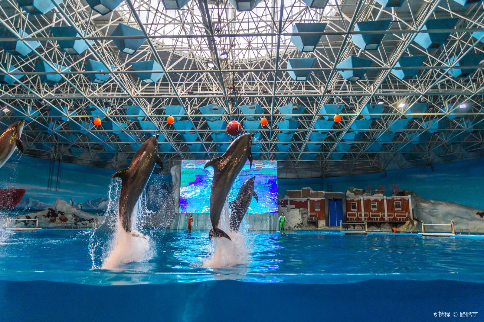 7163澳门官方网站